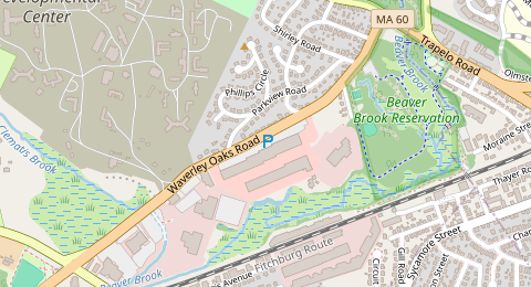 Map of a likely free parking spot near Parkview Road, Waverley Oaks, Boston